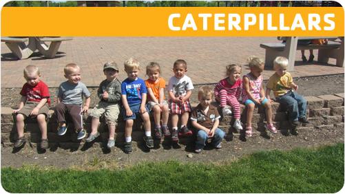 Catepillar
