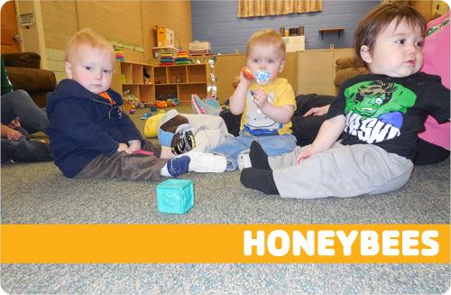Honeybees