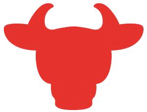 Bull Image