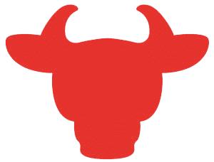 Bull Image